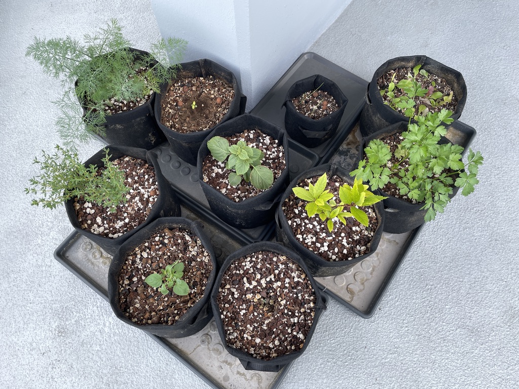 Gardening